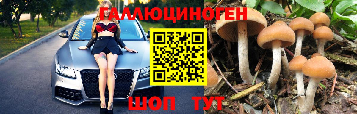 Псилоцибиновые грибы мицелий  сколько стоит  Коммунар  Вход с VPN 